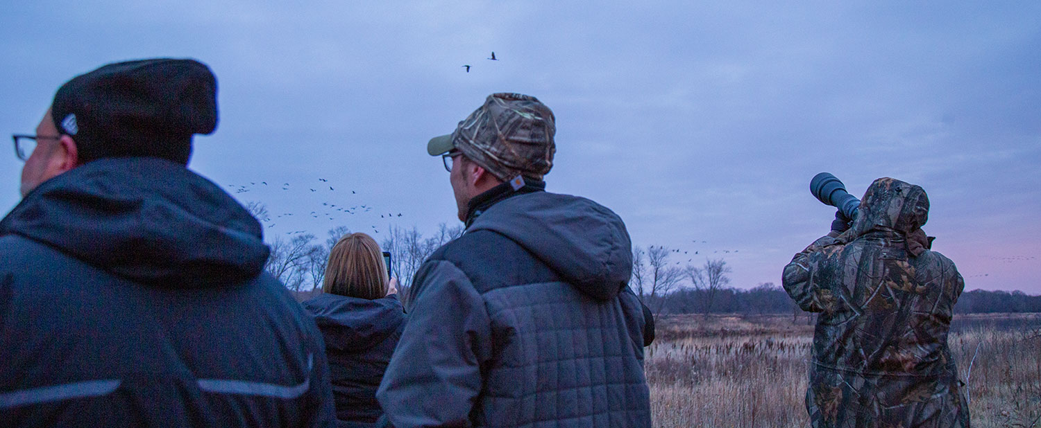 Crane Watching Aldo Leopold Foundation