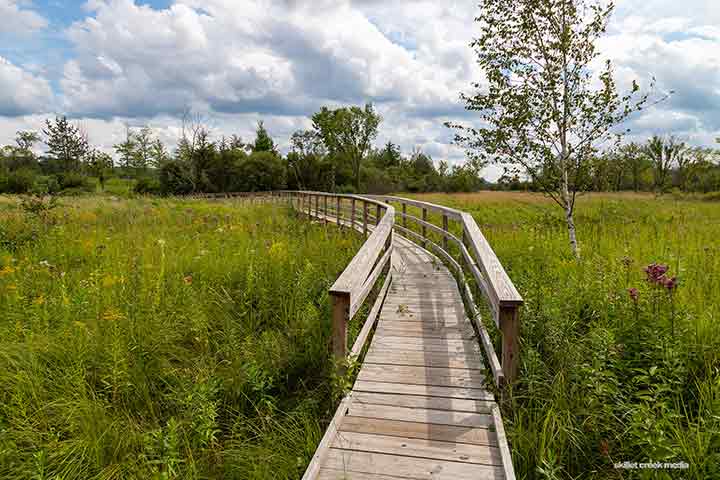 Take a hike (on the Ice Age Trail) - Baraboo, Wisconsin.