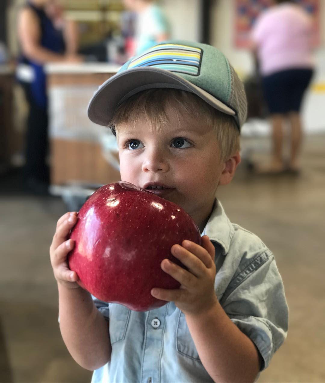Boy With Apple At Ski Hi Fruit Farm