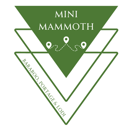 Baraboo, Lodi, Portage Unite On Mini-Mammoth Challenge